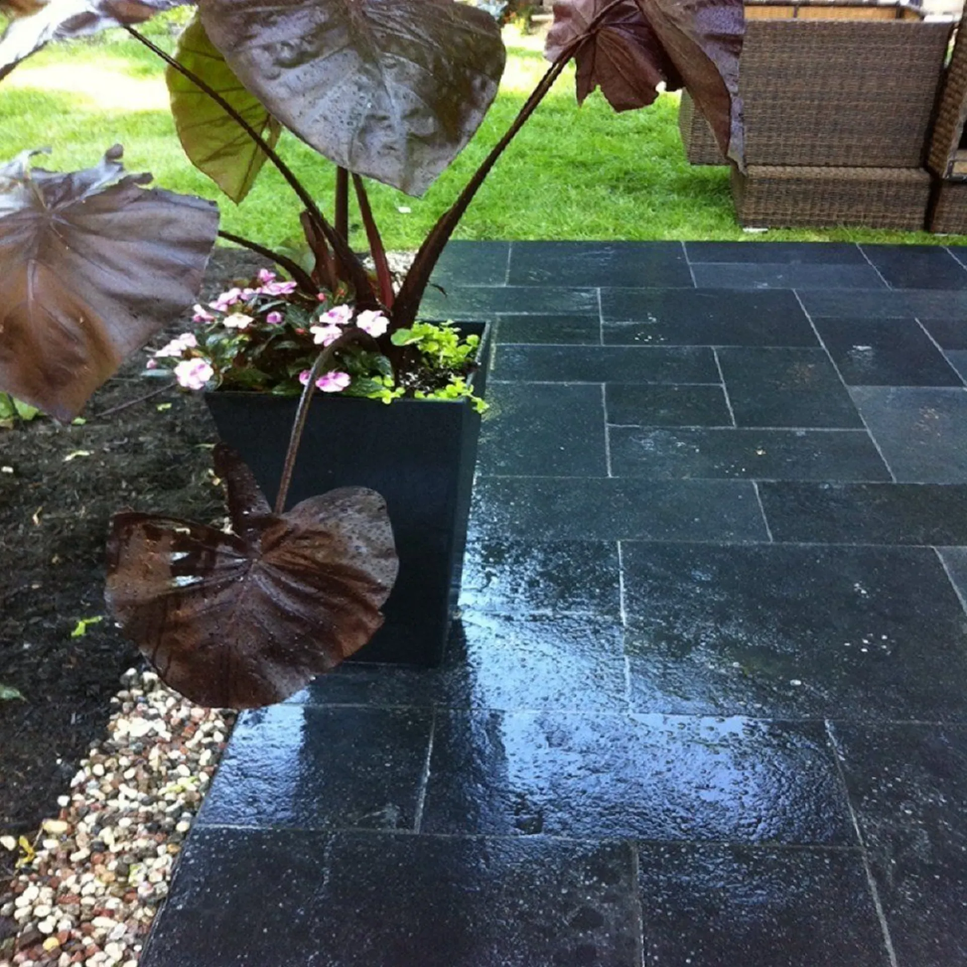 Patio ardoise noire premium